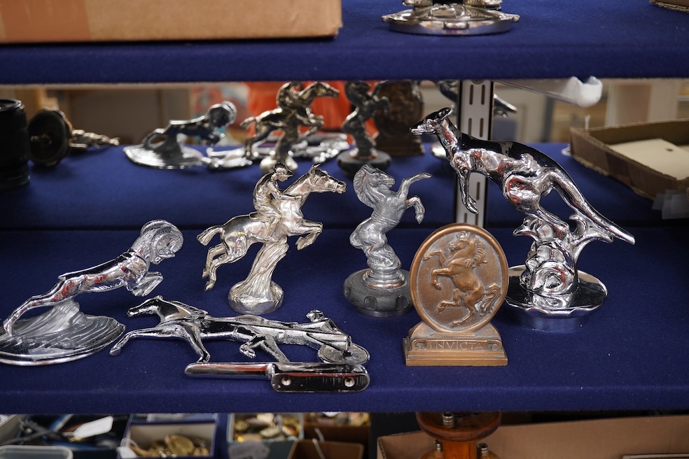 Seven brass and chrome animal related car mascots including; four horse related mascots, two Kangaroo mascots mounted on radiator caps and a leaping ram by Jarvis (no.1027). Condition - fair to good, some losses to chrom